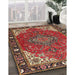 Traditional Red Medallion Rug in Family Room, tr4511