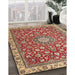 Traditional Red Medallion Rug in Family Room, tr4513