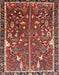 Traditional Orange Salmon Pink Animal Rug, tr4517