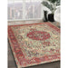 Machine Washable Traditional Brown Rug in a Family Room, wshtr4522