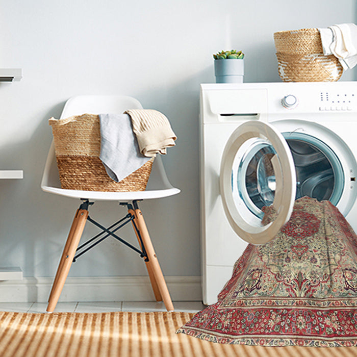 Machine Washable Traditional Brown Rug in a Washing Machine, wshtr4522