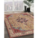 Traditional Brown Red Medallion Rug in Family Room, tr4523