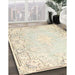 Traditional Peach Beige Persian Rug in Family Room, tr4526