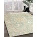 Machine Washable Traditional Sand Brown Rug in a Family Room, wshtr4531