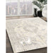 Machine Washable Traditional Pale Silver Gray Rug in a Family Room, wshtr4533