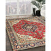 Traditional Brown Red Medallion Rug in Family Room, tr4535