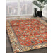 Machine Washable Traditional Sandy Brown Rug in a Family Room, wshtr4541