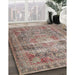 Traditional Light French Beige Brown Medallion Rug in Family Room, tr4547