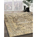 Traditional Brown Persian Rug in Family Room, tr4550