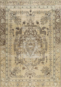 Machine Washable Traditional Brown Rug, wshtr4550