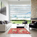 Square Traditional Red Animal Rug in a Living Room, tr4551