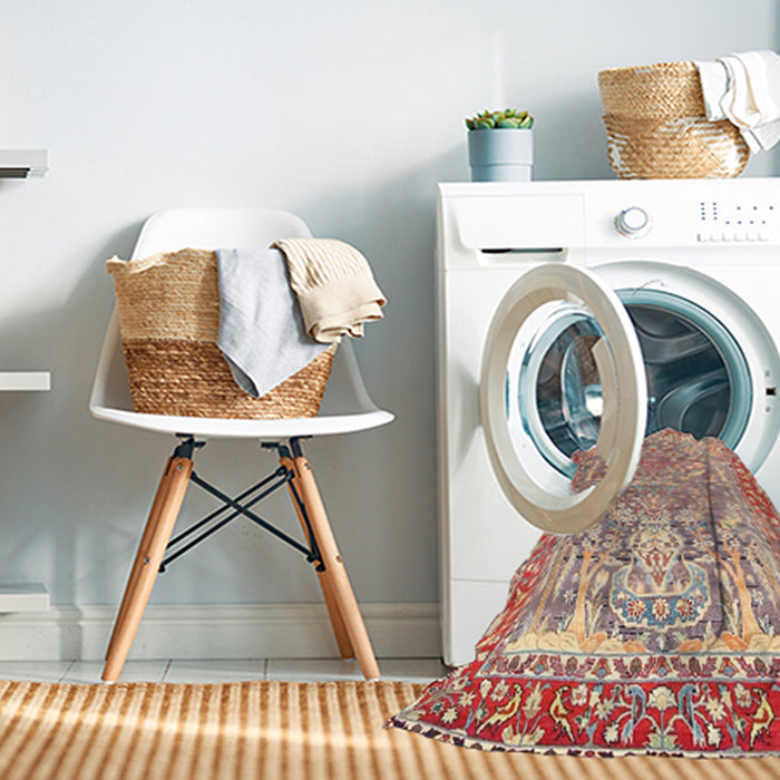 Machine Washable Traditional Brown Rug in a Washing Machine, wshtr4570