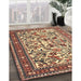 Traditional Dark Sienna Brown Persian Rug in Family Room, tr4571