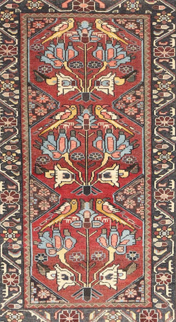 Machine Washable Traditional Brown Red Rug, wshtr4572