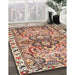Traditional Chestnut Brown Persian Rug in Family Room, tr4573