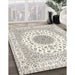 Machine Washable Traditional Champagne Beige Rug in a Family Room, wshtr4579