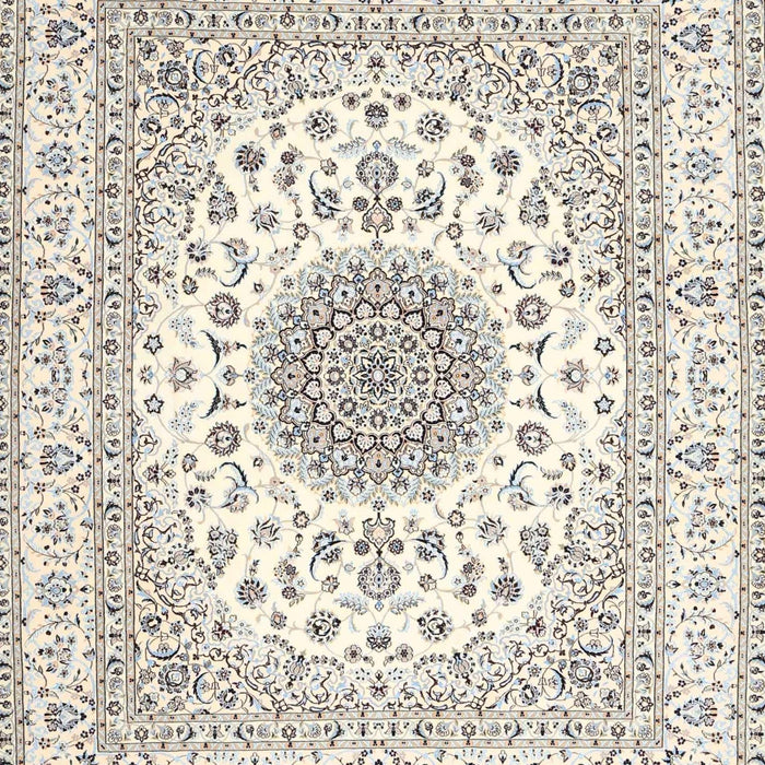 Traditional Champagne Beige Medallion Rug, tr4579