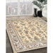 Machine Washable Traditional Dark Almond Brown Rug in a Family Room, wshtr4583