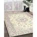 Traditional Peach Beige Medallion Rug in Family Room, tr4593