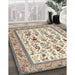 Traditional Brown Persian Rug in Family Room, tr4594
