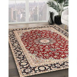 Traditional Brown Red Persian Rug in Family Room, tr4596