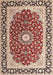 Traditional Brown Red Persian Rug, tr4596