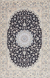 Machine Washable Traditional Carbon Gray Rug, wshtr4597