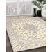 Machine Washable Traditional Light French Beige Brown Rug in a Family Room, wshtr4598