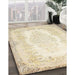Machine Washable Traditional Gold Rug in a Family Room, wshtr459