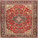 Square Traditional Sand Brown Medallion Rug, tr4603