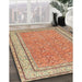 Traditional Red Oriental Rug in Family Room, tr4604