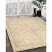 Machine Washable Traditional Khaki Gold Rug in a Family Room, wshtr460