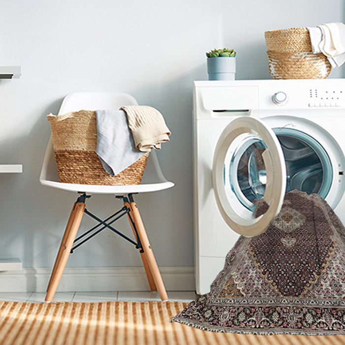 Machine Washable Traditional Light French Beige Brown Rug in a Washing Machine, wshtr4611