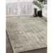 Machine Washable Traditional Khaki Green Rug in a Family Room, wshtr461