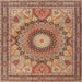 Round Machine Washable Traditional Sandy Brown Rug, wshtr4629