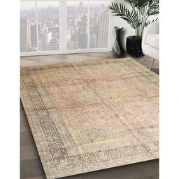 Traditional Brown Persian Rug in Family Room, tr4630