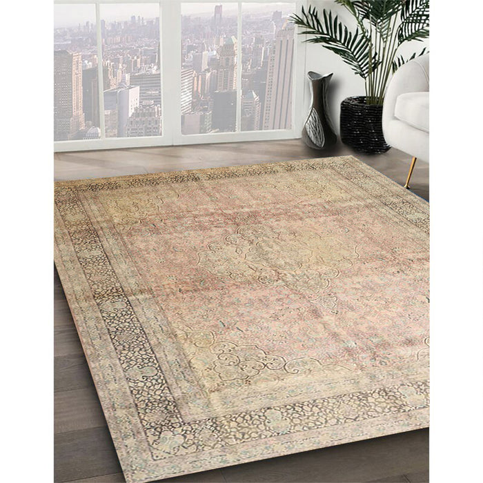 Traditional Brown Persian Rug in Family Room, tr4630