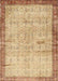 Traditional Chocolate Brown Oriental Rug, tr4642
