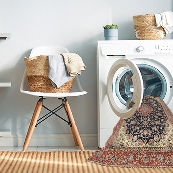Machine Washable Traditional Brown Rug in a Washing Machine, wshtr4645