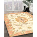 Traditional Golden Blonde Gold Medallion Rug in Family Room, tr4646