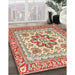 Traditional Brown Medallion Rug in Family Room, tr4650