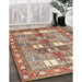 Traditional Chestnut Red Persian Rug in Family Room, tr4653