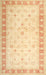 Traditional Brown Gold Oriental Rug, tr4655