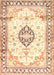 Traditional Sunrise Orange Medallion Rug, tr4669