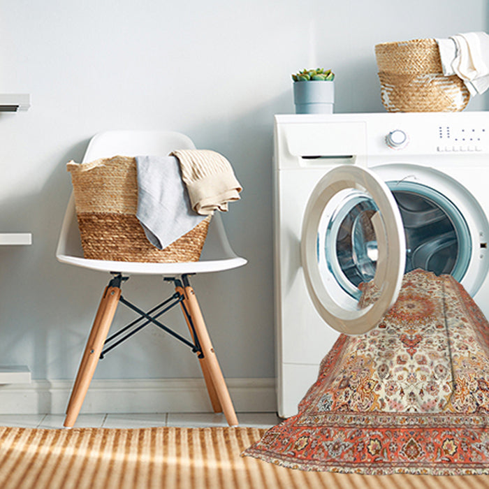 Machine Washable Traditional Brown Rug in a Washing Machine, wshtr4673