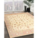 Machine Washable Traditional Khaki Gold Rug in a Family Room, wshtr4674