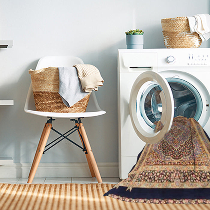 Machine Washable Traditional Sepia Brown Rug in a Washing Machine, wshtr4675