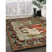 Traditional Brown Medallion Rug in Family Room, tr467