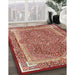 Traditional Tangerine Pink Medallion Rug in Family Room, tr4681