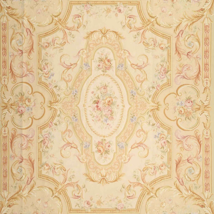 Traditional Brown Gold Persian Rug, tr4696